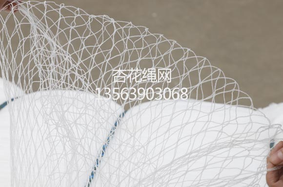 防鸟网